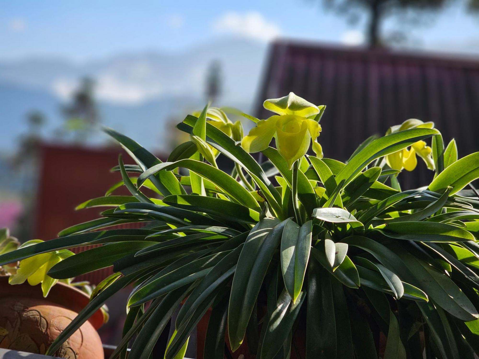 Dang Khoa Garden Inn Homestay Sapa Exterior foto