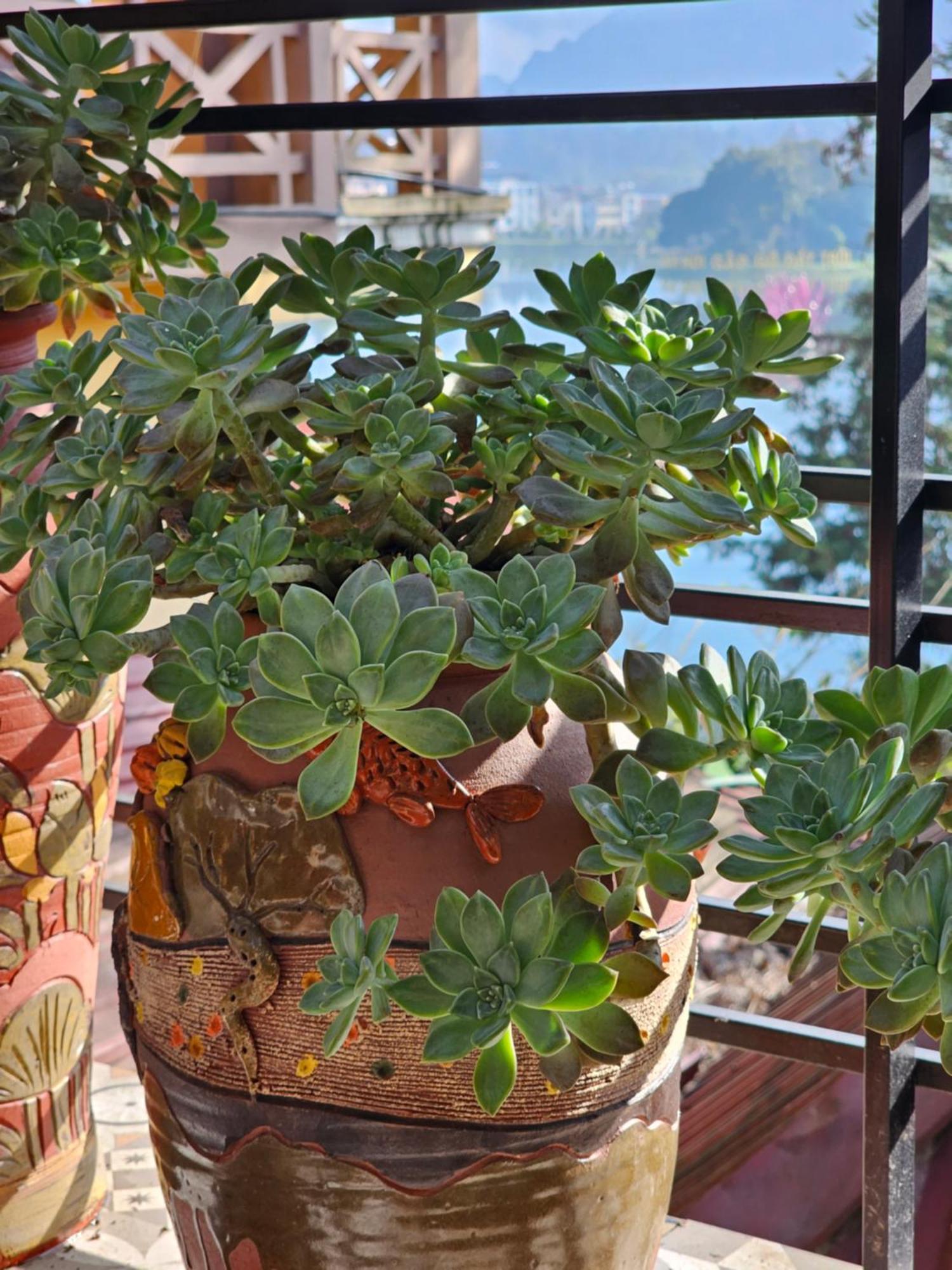 Dang Khoa Garden Inn Homestay Sapa Exterior foto