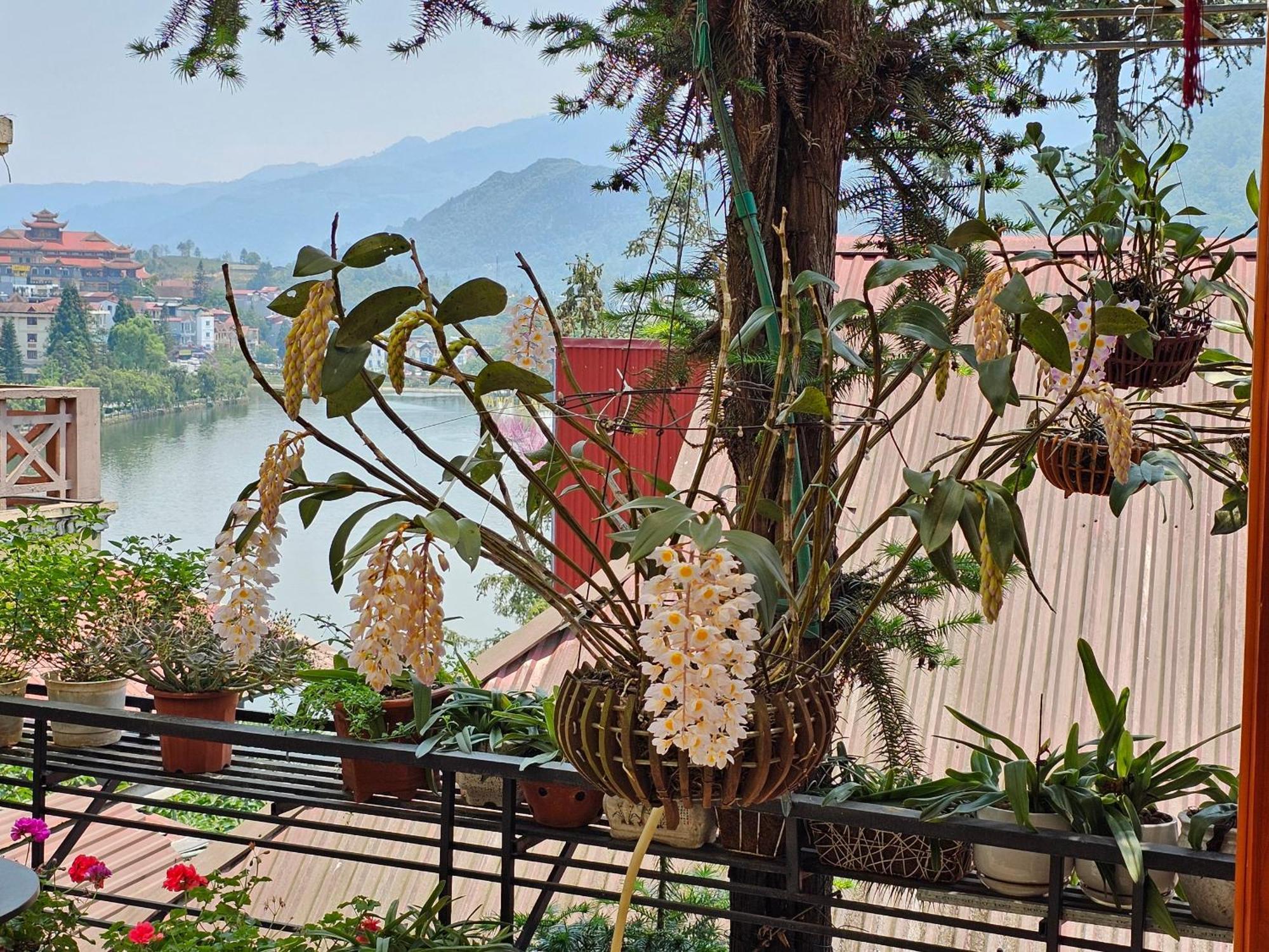 Dang Khoa Garden Inn Homestay Sapa Exterior foto