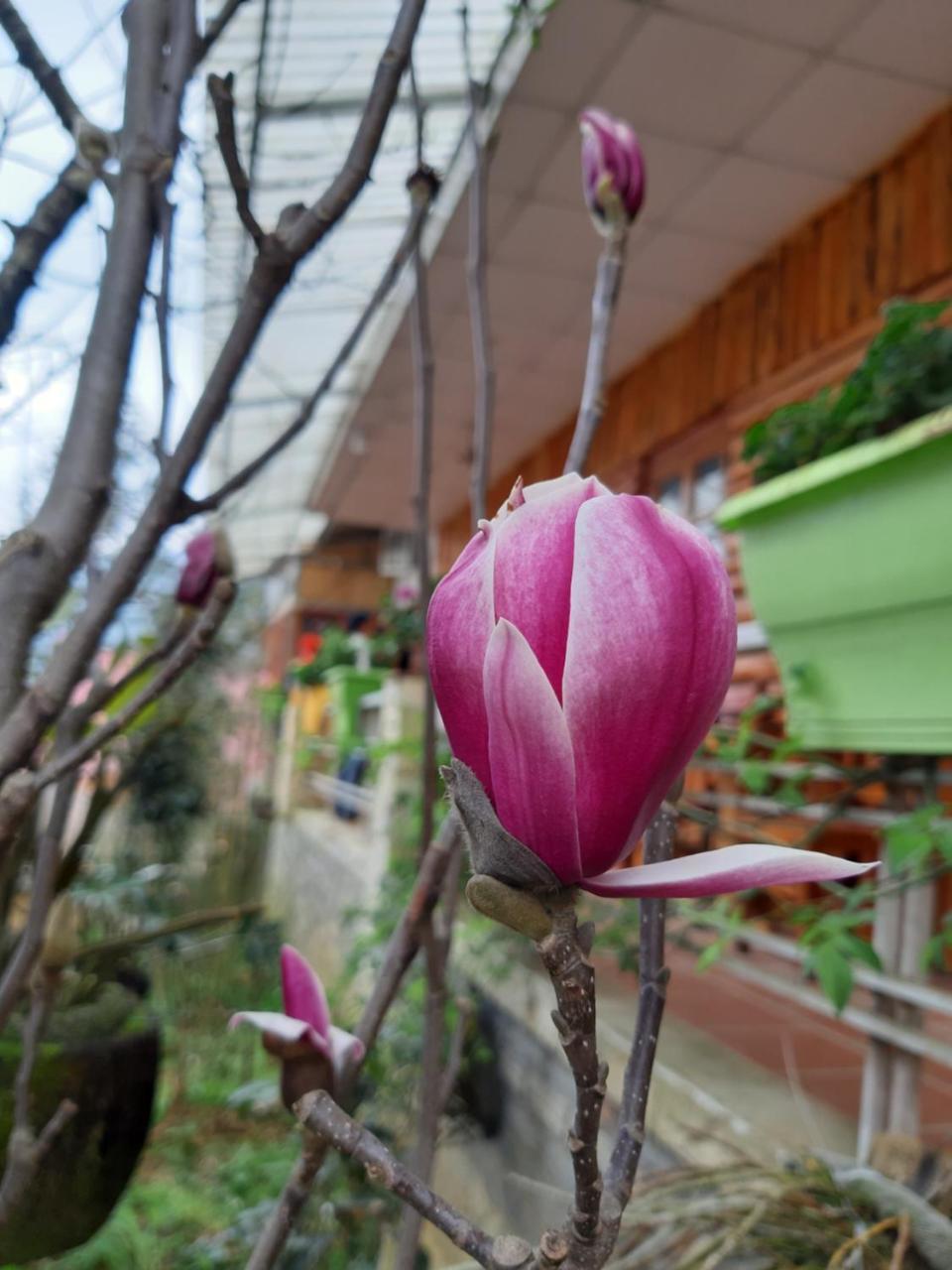 Dang Khoa Garden Inn Homestay Sapa Exterior foto